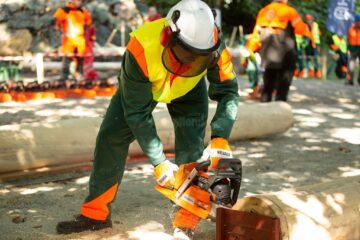 Suceava a obținut locul III pe țară la competiția muncitorilor din silvicultură