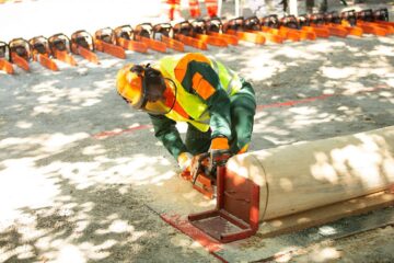 Suceava a obținut locul III pe țară la competiția muncitorilor din silvicultură