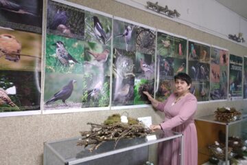 Biologul dr. Florentina-Carmen Oleniuc, de la Muzeul de Științele Naturii Suceava