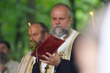 O pilduitoare poveste despre ascultare