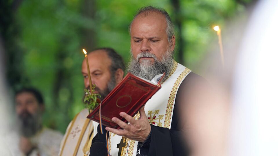 O pilduitoare poveste despre ascultare