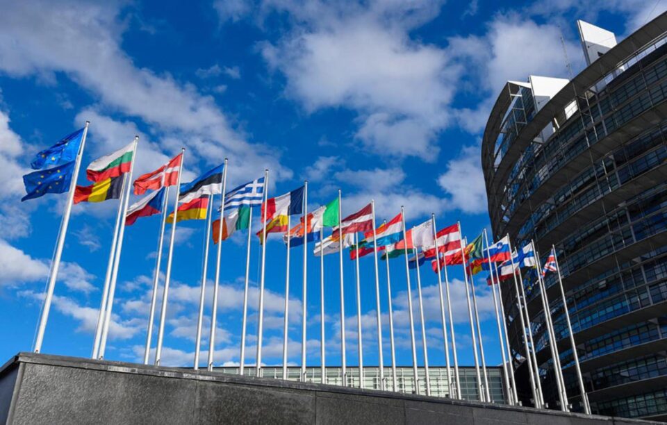 Tineri suceveni, invitați la Parlamentul European de la Strasbourg