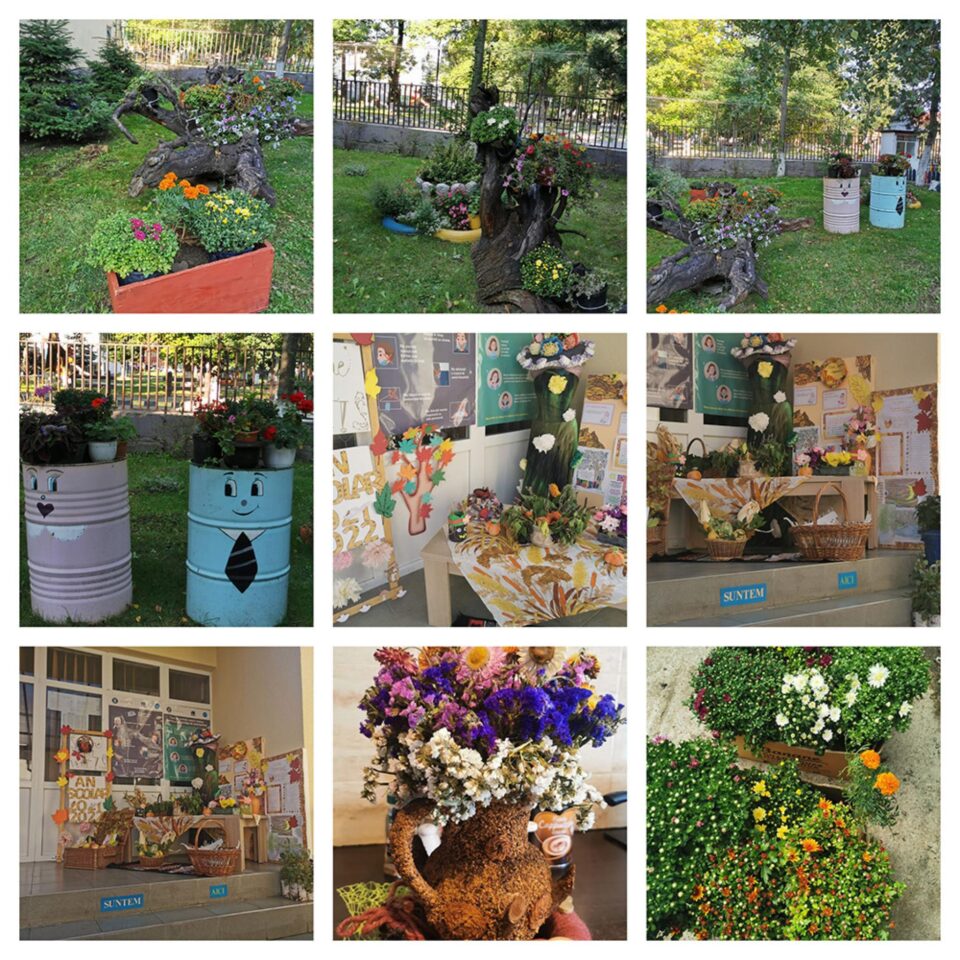 Peste 100 de elevi și profesori de la Centrul Școlar Gura Humorului au participat la o acțiune de ecologizare