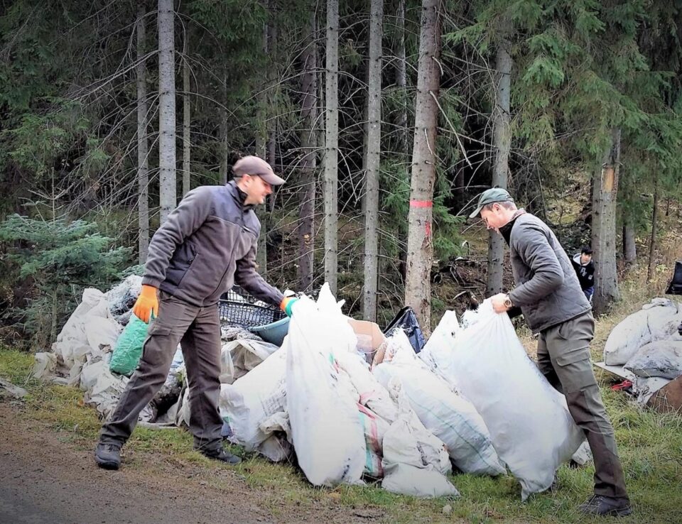 Campanie de ecologizare în pădurile Sucevei, sâmbătă, 25 septembrie