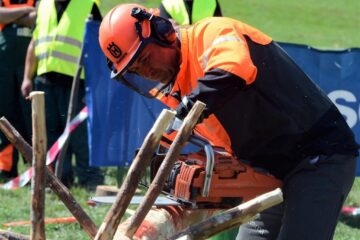 Ziua Forestierului, sărbătorită pe 1 octombrie, cu o serie de evenimente organizate de ASFOR