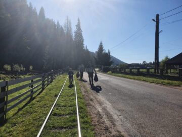 Campania de ecologizare s-a desfășurat în toate cele 24 de ocoale ale Direcției Silvice Suceava