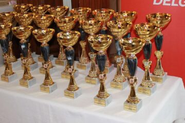 Trofeul electricianului