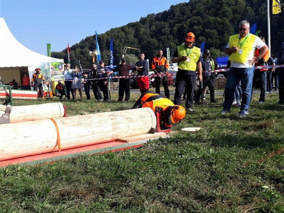 Ziua Forestierului, sărbătorită pe 1 octombrie, cu o serie de evenimente organizate de ASFOR