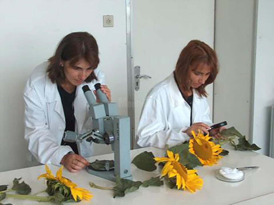 „Laboratorul Stațiunii experimentale regionale Suceava”