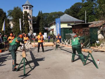 Concursul Național al Fasonatorilor Mecanici, organizat în cadrul evenimentului Ziua Forestierilor