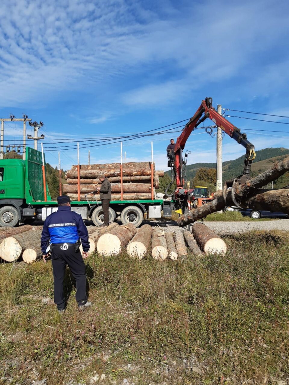 Jandarmii au amendat un șofer care transporta material lemnos în surplus