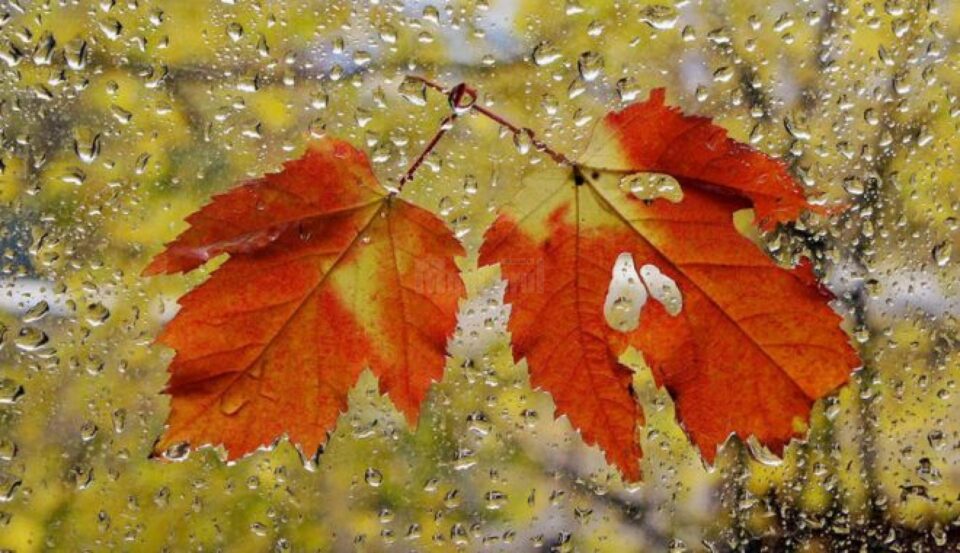 Atenționare meteo de vreme deosebit de rece și precipitații moderate