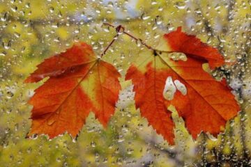 Atenționare meteo de vreme deosebit de rece și precipitații moderate