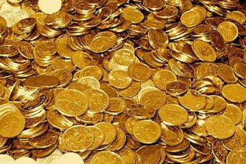 „Moșia Todirești vândută la licitație”