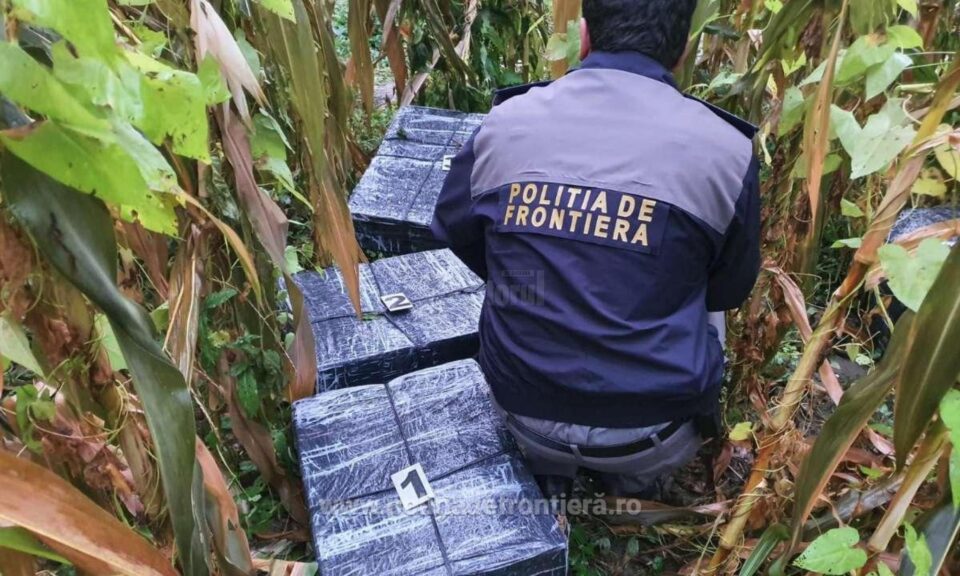 Polițiștii de frontieră au tras 19 de focuri după contrabandiști – fugarii au lăsat în urmă în jur de 30.000 de pachete de țigări Polițiștii de frontieră au tras 19 de focuri după contrabandiști – fugarii au lăsat în urmă în jur de 30.000 de pachete de țigări