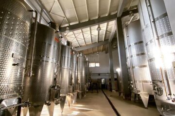 Instalații de inox performante pentru prepararea vinului la Crama Gramma