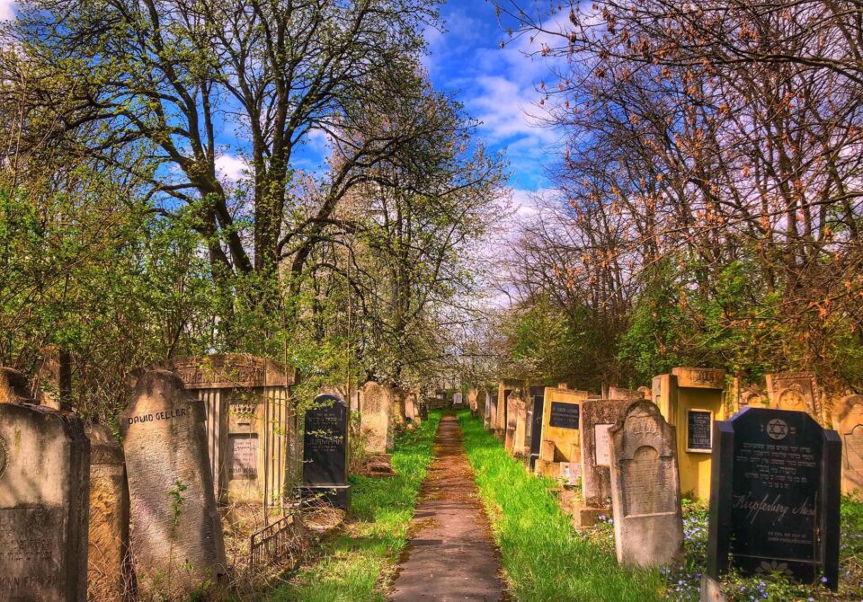 Cimitirul evreiesc din Rădăuți va fi integrat într-un circuit turistic despre istoria orașului