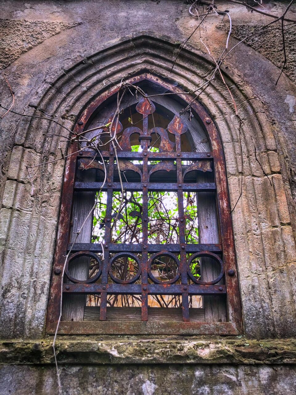 Cimitirul evreiesc din Rădăuți va fi integrat într-un circuit turistic despre istoria orașului