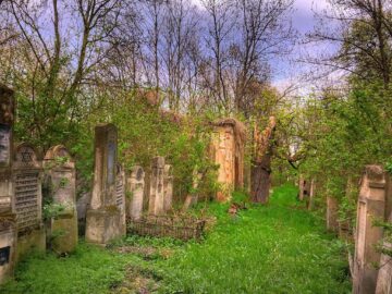Cimitirul evreiesc din Rădăuți va fi integrat într-un circuit turistic despre istoria orașului