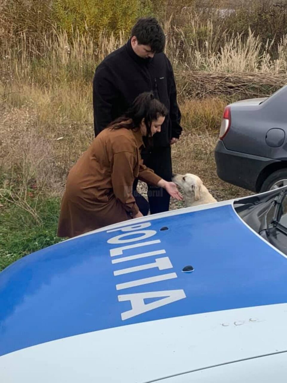Câinele găsit în viață