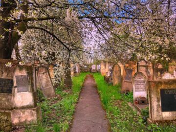 Cimitirul evreiesc din Rădăuți va fi integrat într-un circuit turistic despre istoria orașului