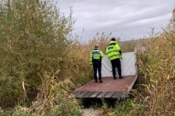 Anchetă a poliției privind trei câini împușcați în apropiere de iazul Lipoveni