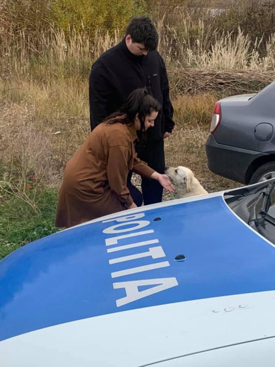 Câinele găsit în viată