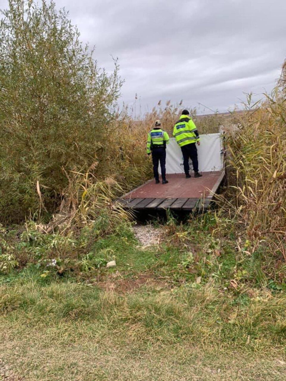Anchetă a poliției privind trei câini împușcați în apropiere de iazul Lipoveni