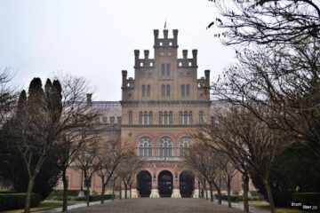 Universitatea din Cernăuți