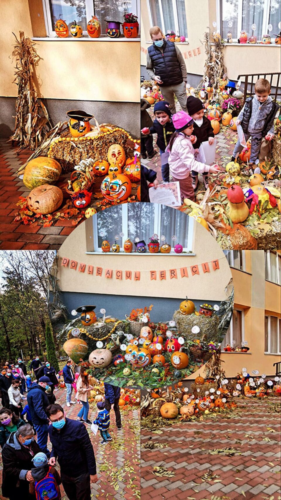 Toamna se numără dovlecii la grădinițele “Așchiuță” și “Albinuța” din Suceava