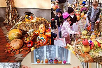 Toamna se numără dovlecii la grădinițele “Așchiuță” și “Albinuța” din Suceava