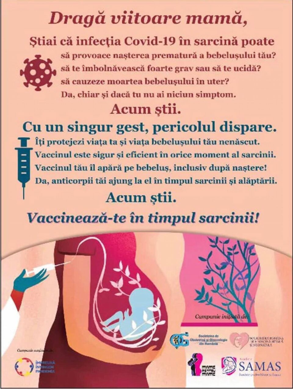 Vaccinare gravide