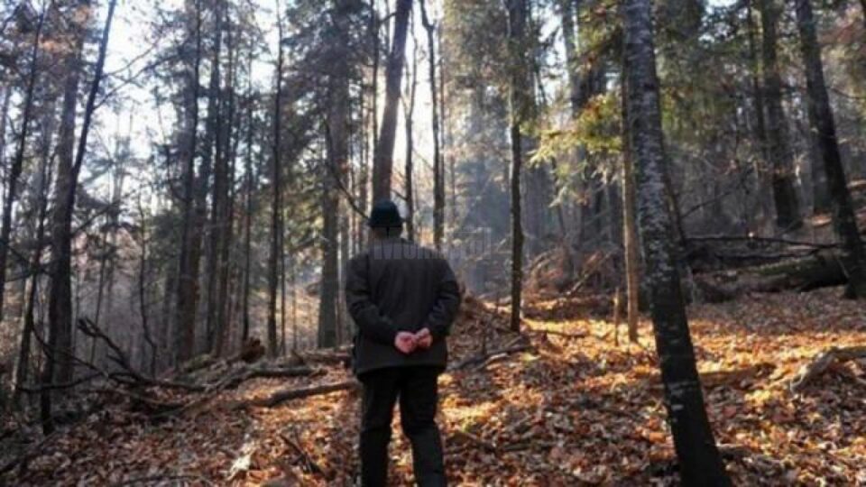 Un pădurar din cadrul Ocolului Silvic Gura Humorului a reclamat faptul că a fost agresat în zona de pădure pe care o are în pază Un pădurar din cadrul Ocolului Silvic Gura Humorului a reclamat faptul că a fost agresat în zona de pădure pe care o are în pază