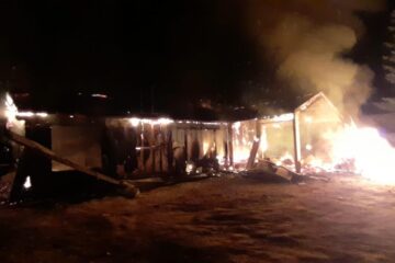 incendiu bradatel