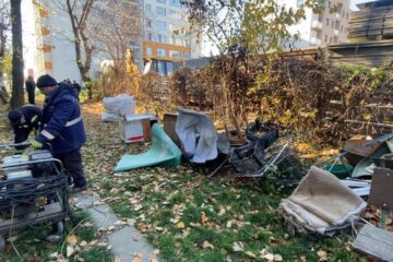 Adăpost ilegal de câini amenajat între blocuri, desființat de Primăria Suceava