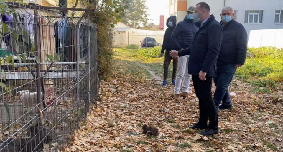 Adăpost ilegal de câini amenajat între blocuri, desființat de Primăria Suceava