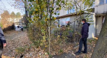 Adăpost ilegal de câini amenajat între blocuri, desființat de Primăria Suceava