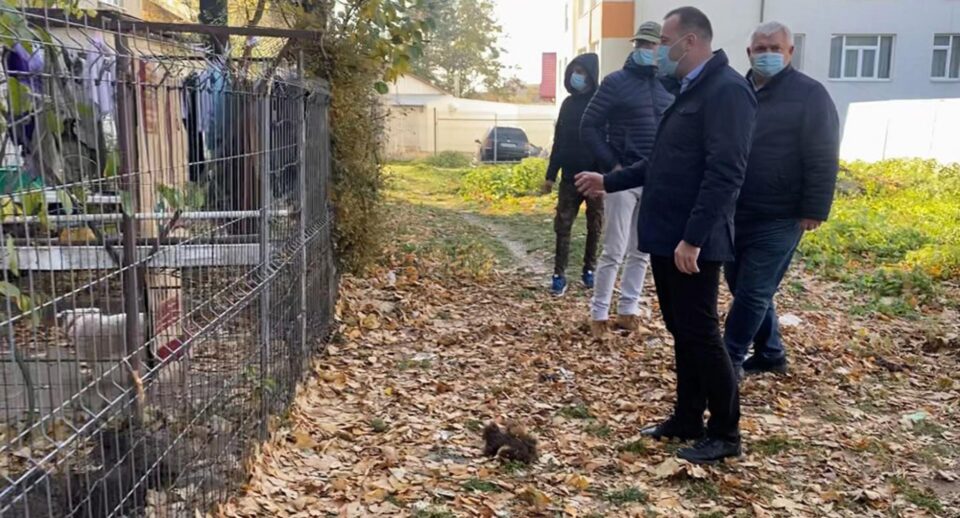 Desființarea adăpostului ilegal de câini și curățarea zonei de gunoaiele depozitate pe domeniul public