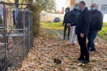 Desființarea adăpostului ilegal de câini și curățarea zonei de gunoaiele depozitate pe domeniul public