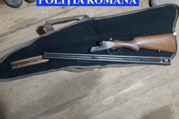 arma vinatoare