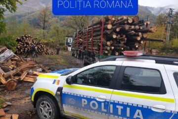 Controale în trafic asupra vehiculelor încărcate cu lemn