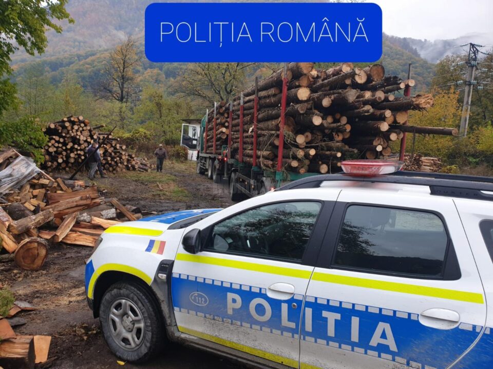 Controale în trafic asupra vehiculelor încărcate cu lemn