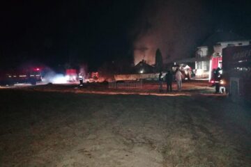 Vaci, porci, păsări și o întreagă gospodărie au ars într-un devastator incendiu