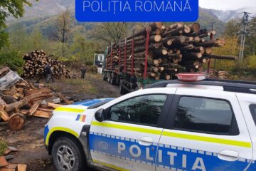 Controale în trafic asupra vehiculelor încărcate cu lemn