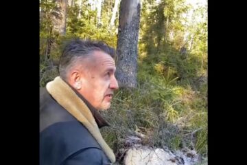 Încă o tăiere ilegală de arbori într-o pădure privată de la OS Dealu Negru