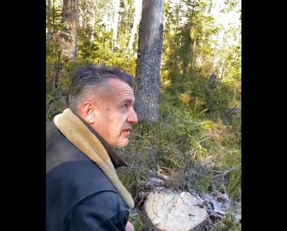 Încă o tăiere ilegală de arbori într-o pădure privată de la OS Dealu Negru