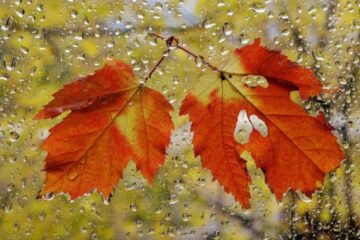 Meteorologii anunță schimbarea vremii, care deja s-a făcut resimțită, începând de duminică noapte