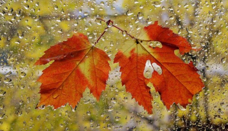 Meteorologii anunță schimbarea vremii, care deja s-a făcut resimțită, începând de duminică noapte Meteorologii anunță schimbarea vremii, care deja s-a făcut resimțită, începând de duminică noapte