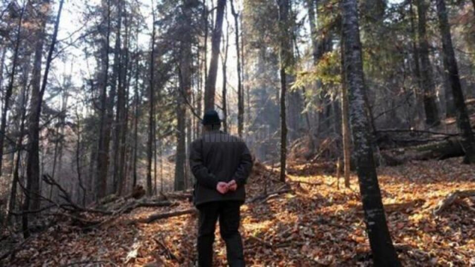 Incidentele grave s-au petrecut joi, 28 octombrie, în jurul orei 11.00