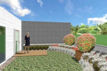 Amenajarea unui „acoperiș verde” la etajul 5 al Primăriei Suceava - acțiune pilot în cadrul proiectului „Health&Greenspace”